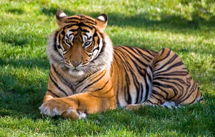 Banham Zoo