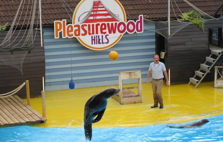 Pleasurewood Hills
